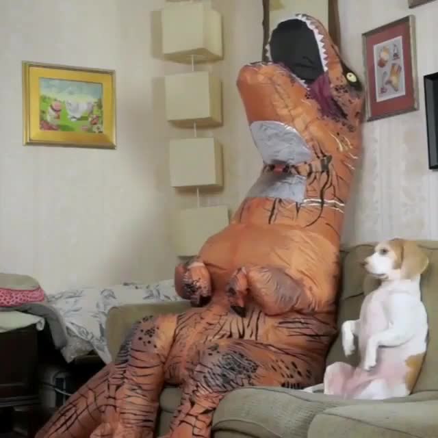 Random shit on my phone 123. Literally a bunch of random that was on my phone. Some may be cringe, some may be morbid, some may be ear rape and stupid as hell,