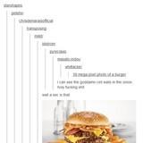 Photo of a Burger